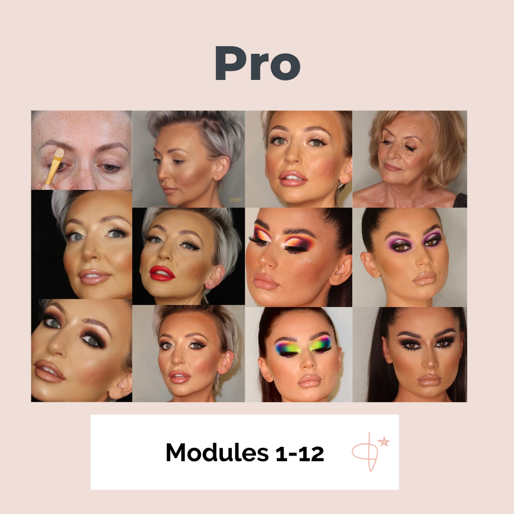 Make-Up Course Pro Bundle – Modules 1-12