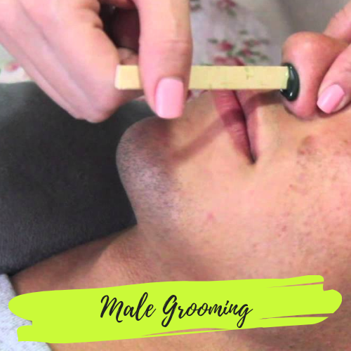 Male Facial Grooming Course *